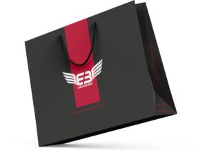 1 b80172c1 1f99 4522 b9f9 0ae171083746 evolution body