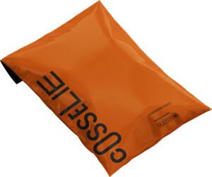 b8fa283d c0a5 476d bf90 b8bee3ed9270 new cosselie 1