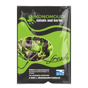 realistic transparent plastic mockup 250 salad oikonomoudi 1